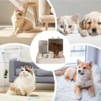 Con cuenco de comida, alimentador automático para gatos, separación automática en seco y húmedo, dispensador de agua para perros, dispensador de comida para mascotas de gran capacidad - details 2