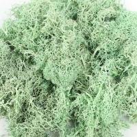 Plantas Artificiales de Colores Hierba Siempre Verde Ideal para Decoración de Hogar, Jardín, Habitación Flores Falsas - details 11
