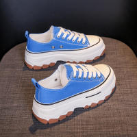 2025 Nuevos Zapatos Casuales de Lona Transpirable con Plataforma para Mujeres Estudiantes Pequeños Blancos - details 4