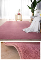 Alfombra de Terciopelo de Coral Gris Gruesa, Antideslizante, Ideal para Sofá de Estar, Dormitorio, Balcón - details 8