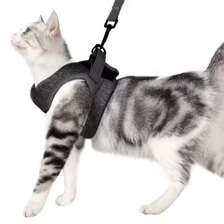 Conjunto de correa y arnés para mascotas de poliéster, correa de cuello a prueba de Escape para gatos, suave y transpirable, correa de pecho ligera ajustable para correr - 1