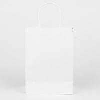 10 Uds. Bolsa de papel Kraft estampado en caliente bolsa de papel de amor bolsa de papel Kraft de cumpleaños con asa para compras de fiesta - details 5