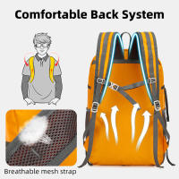 Mochila Plegable Ligera Gran Capacidad para Viajes Bolsa de Hielo Deportiva para Hombres y Mujeres - details 4