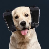 Orejeras para mascotas, protección auditiva ajustable, protección para los oídos de mascotas, antiruido, cómodos auriculares con cancelación de ruido para perros - details 4