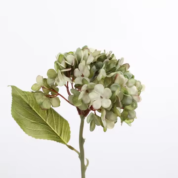 Hortensia Artificial de 5 piezas para decoración del hogar, accesorios para regalos de jardín de boda, ramo de novia Diy para interior y exterior - 1