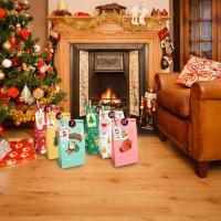Calendario de Adviento para rellenar , con 24 bolsas y pegatinas de números, clips, cordel - details 16