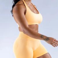 Sujetador deportivo sin costuras para mujer, ropa deportiva de secado rápido con Espalda descubierta, alta elasticidad, a prueba de golpes, para Yoga - details 42