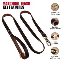 perro cuero auténtico, conjunto de Collar personalizado mascotas correa, placa con grabado gratis para perros pequeños, medianos - details 4