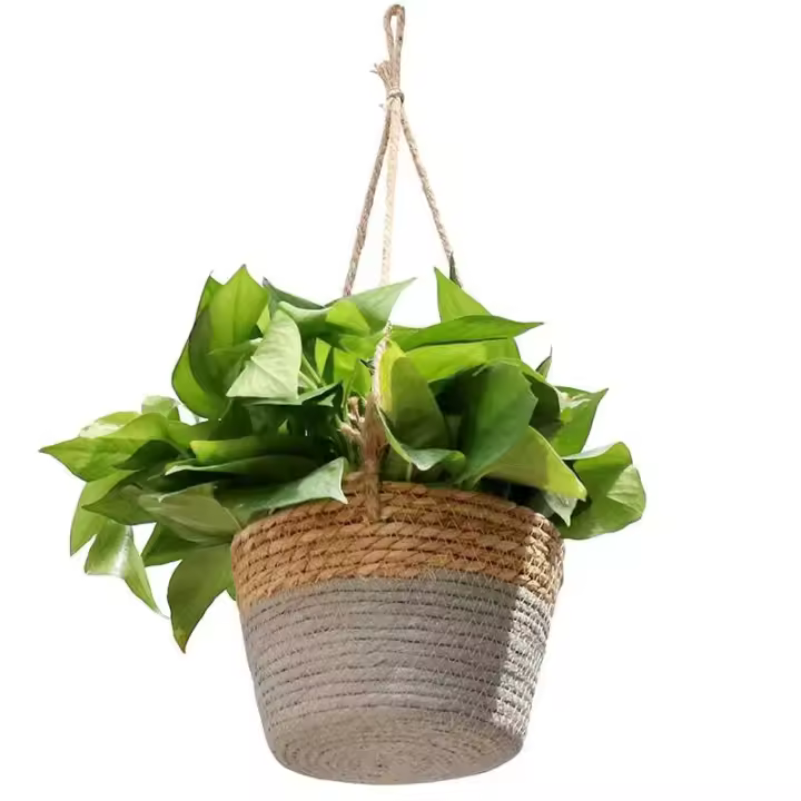 Cesta que teje de la cuerda de cáñamo de la maceta del balcón de la carne del jardín interior - 1