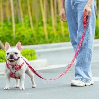 Correa para Mascotas TRUELOVE con Asa Acolchada de Neopreno Control de Tráfico Fuerte y Fácil de Usar Viaje para Perro y Gato TLL3112 - details 8