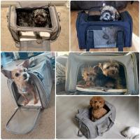Bolsa para perros y gatos, bolsa de borde suave, bolsa para mascotas, bolsa de viaje, transporte para perros y gatos - details 4