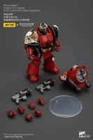 JOYTOY 40k 1/18 Figuras de acción Anime 12cm Blood Angels Angel's Tears Squad - details 7