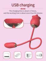 5 Modos de succión Estimulación del pezón del clítor Dildos anales Juegos Rosa Vibrator Juguetes sexuales para mujeres G Spot Estimulador del pezón del clítor Producto para adultos Impermeable - details 6