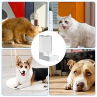 Alimentador automático de gravedad para mascotas, dispensador de agua, cuenco grande para perros y gatos, 3,8 l - details 3