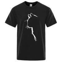 Camiseta de algodón con estampado de gato para hombre, camisa de manga corta de verano, ropa de calle Hip Hop, divertida - details 7