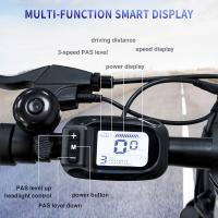 FAFREES F20 Bicicleta Eléctrica, Motor de 250W, Batería de 36V 16Ah, Neumáticos Anchos de 20*3 pulgadas, Velocidad Máxima de 25km/h, Autonomía de 60-80km, SHIMANO de 7 Velocidades, Frenos de Disco Mecánicos, Tracción Trasera, Pantalla LCD- Gris - details 5
