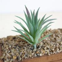 Plantas suculentas artificiales de PVC, Mini plantas artificiales flocadas realistas, bricolaje, decoración del hogar - details 7