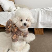 Mono de felpa con estampado de oso para mascotas, pijama de franela suave con estampado de oso para perros, cómodo y cálido, Pijama de terciopelo para gatos - details 2