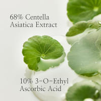 Suero coreano para corrección de pigmentación, hidratación, nutrición, vitamina C, Centella, 30ml - details 2