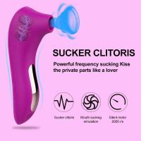 Potente inhalador, vibrador femenino del clítoris, pezón, estimulador de vacío oral, máscara, juguete sexual, productos para adultos para mujeres - details 4
