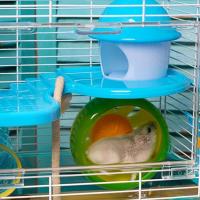 Jaula para Hámster Roborowski Jaula para Hamster 27 * 20.5 * 47cm jaulas Hamsters Grande con Tubos Bebedero comedero Aleatorio (156) - details 3