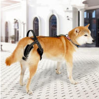 Eslinga ajustable para perros para patas traseras, tiras reflectantes, cinturón auxiliar, arnés de elevación para perros, sujeción para pierna trasera, mango resistente - details 6