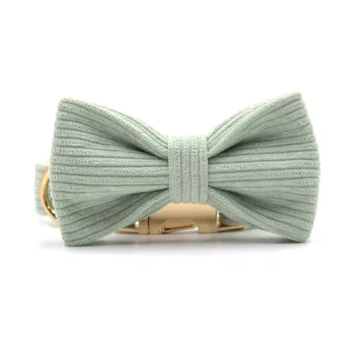 Collar Pana Verde Mint, personalizado, antipérdida, para Perros Pequeños, medianos y grandes, elegante, Conjunto de Correa - 1