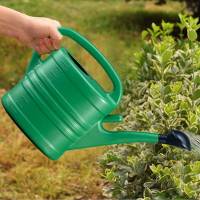 Regadera de plástico de 5L, regadera esencial para jardín, latas ligeras para interior y exterior - details 0