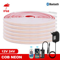 GAHADA Tira de Neón LED Moderna Impermeable 12V 24V 320LEDs/m Control Remoto de 23 Botones - details 0