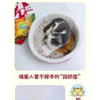 Fideos instantáneos modernos y creativos para perros de otoño e invierno en todas las estaciones, arena para mascotas para dormir con gatos cerrados y cálidos - details 2