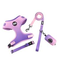 Conjunto arnés perro, chaleco malla ustable cachorro, Collar correa de plomo para caminar, perros pequeños, gatos y gatitos - details 8
