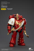 JOYTOY Figura de Acción Horus Heresy Legión de Mil Hijos del Tacticante MK IV - details 51
