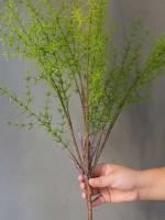 1 unidad, planta de helecho, verde, vid de plástico, hiedra falsa para decoración del hogar, sala de estar, vegetación artificial - details 4