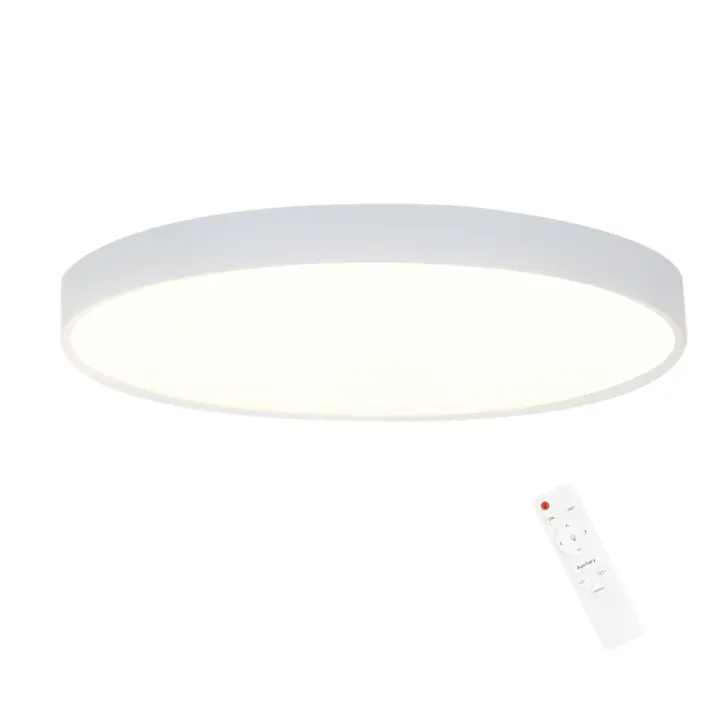 CBJKTX Luz de Techo LED 28 cm 30 W Redonda IP44 Lámpara de Dormitorio Regulable para Sótano Baño Pasillo Lámpara con Control Remoto - 1