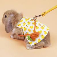 Conjunto de Correa y Arneses de Conejo A Prueba de Fugas para Chinchillas, Cobayas, Erizos - details 3