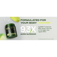 spermidine supplements nad plus supplement 1000mg pure organic resveratrol gummies akg supplement