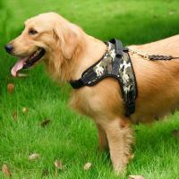 Arnés nailon perro, Collar de camufle verde, suave, acolchado, ustable, sin tirones, accesorios para perros pequeños, medianos y - details 1