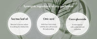 Tea Tree Purifine Cleansing Foam