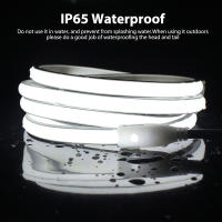 Tira de neón COB para exteriores, cinta Flexible de alto brillo, impermeable IP65, 220 LED/m, RA90, para decoración del hogar y el jardín, 288 V - details 8