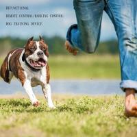 Nuevo dispositivo para perros con control remoto, collar de entrenamiento para mascotas resistente al agua con parada automática de ladridos, 1 unidad. - details 20