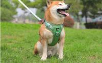 Arnés tracción perro, chaleco reflectante ustable caminar, correas de seguridad transpirables, suministros para mascotas - details 22