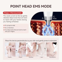 ANLAN Masajeador de Puntos de Acupuntura RF, Diseño de Doble Cabezal y Doble Modo, EMS Alivia la Fatiga, RF+EMS Reafirmante de Piel, Dispositivo de Belleza para el Cuidado Facial, Carga Tipo-C para el Hogar y en Movimiento, Autocuidado para Rostro, Cuello - details 4