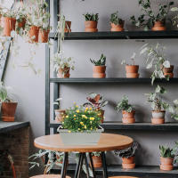 METRO rectangular de plástico flores verduras, ventanas CA con bandejas de té para uso interior y exterior, 4 piezas - details 6