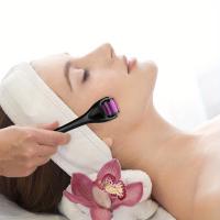 Derma Roller de 540 Agujas de 0.25mm de Acero Inoxidable, Rodillo de Microagujas para Masaje Facial - details 3