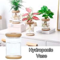 Florero de plástico hidropónico transparente, maceta de estilo Simple, arreglo wer, adorno de mesa de ración para el hogar - details 1