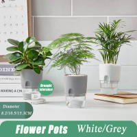 Macetas de flores hidropónicas de eneldo verde, suministros de jardín de doble capa, purificador de aire, irrigación automática de oficina, decoración del hogar - details 3