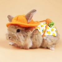 Conjunto de Correa y Arneses de Conejo A Prueba de Fugas para Chinchillas, Cobayas, Erizos - details 2