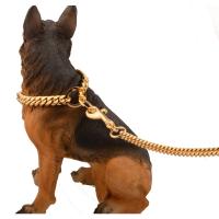 Collar dorado de Metal de acero inoxidable para perro, cadena de entrenamiento para perros grandes, decoración para todos los perros, 10E - details 2