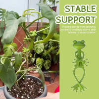 2 unidades de amarre de planta en forma de rana, Cable reutilizable, planta de jardín, vid, flor, Clip vegetal, soporte Flexible ajustable para tallo - details 2