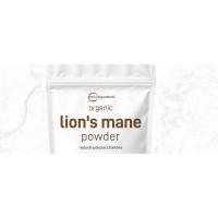 Micro Ingredients Polvo de suplemento de hongo de melena de león orgánico, superalimento natural de 16 onzas para la salud del cerebro, la energía y el sistema inmunológico | - details 1